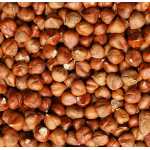 RAW HAZELNUT 1KG