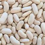 ALUBIA WHITE BEANS 25KG