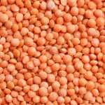 BASHAN RED LENTILL FOOTBALL 25KG