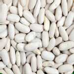 GOZDE DERMASON WHITE BEANS 25KG