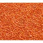 VILLAGE RED LENTIL WHOLE 25KG